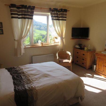 Heulwen Guest House Dolgellau Extérieur photo