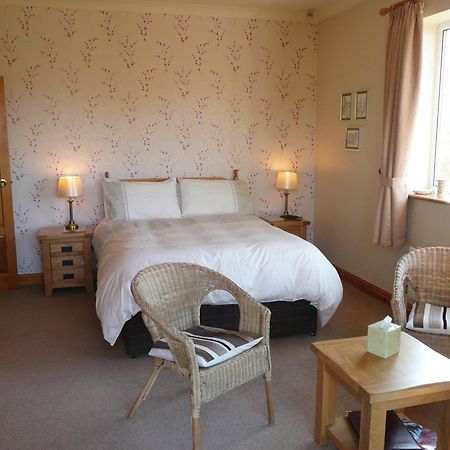 Heulwen Guest House Dolgellau Extérieur photo