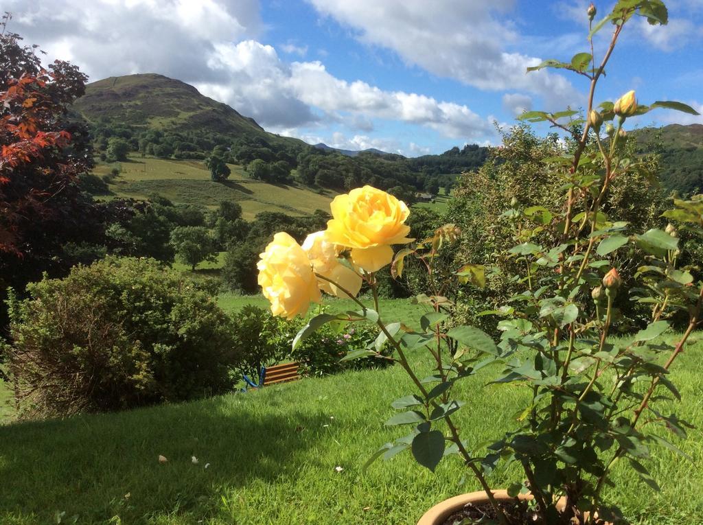 Heulwen Guest House Dolgellau Extérieur photo